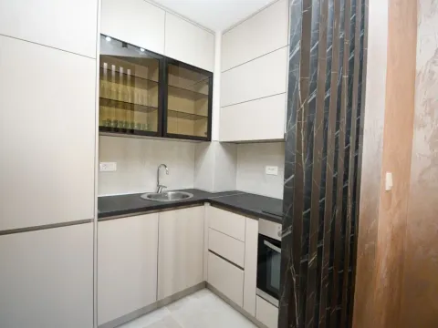 Izdavanje, jednosoban stan, 42m², Central Point, Podgorica - image 5