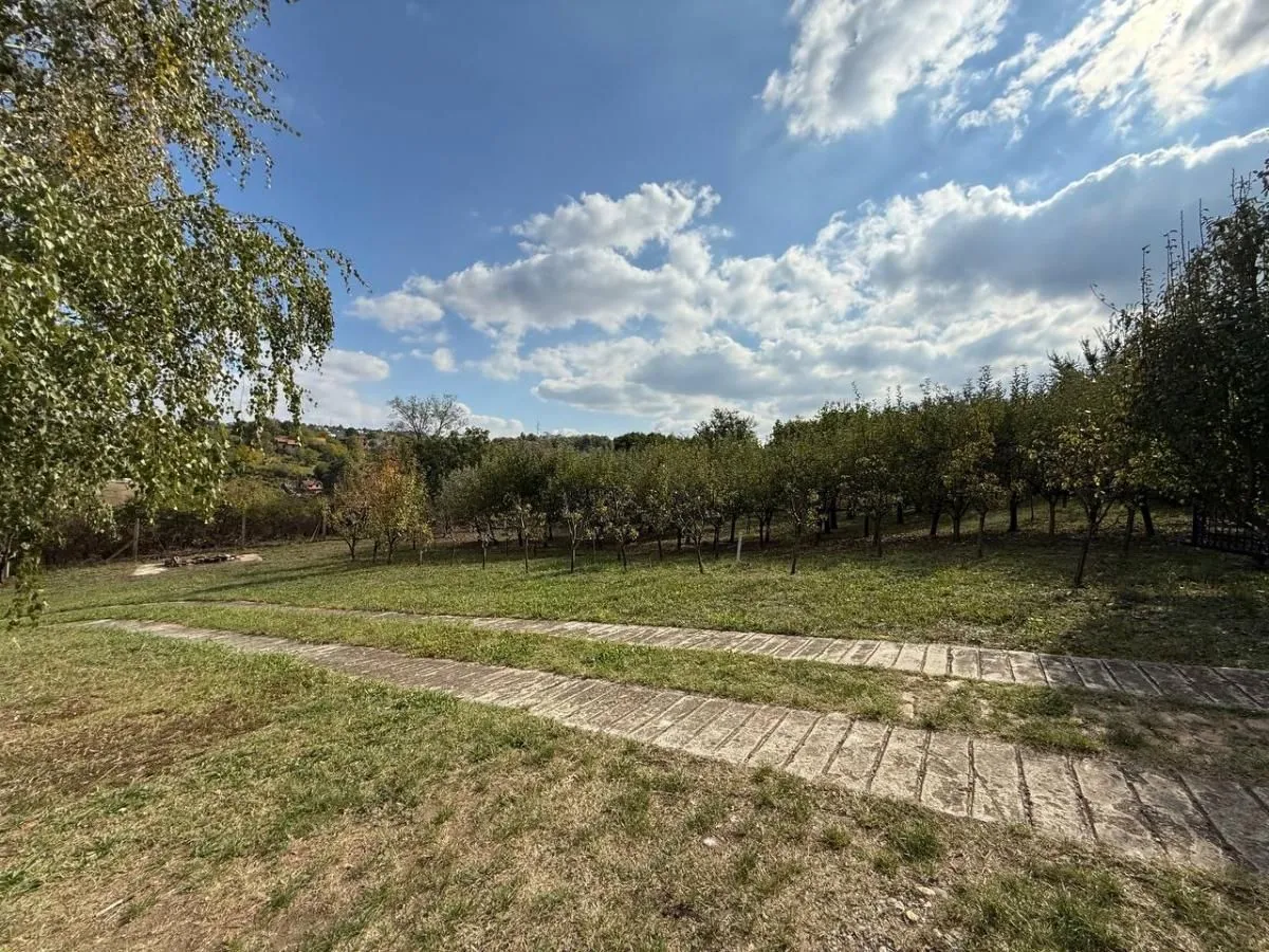 Sale, house, 204m², Bocke, Petrovaradin