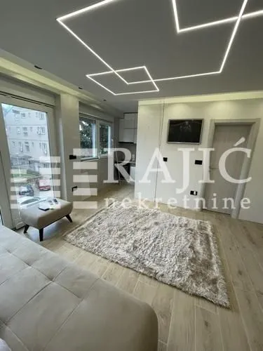 Living room with a sofa, rug, and modern ceiling lighting.