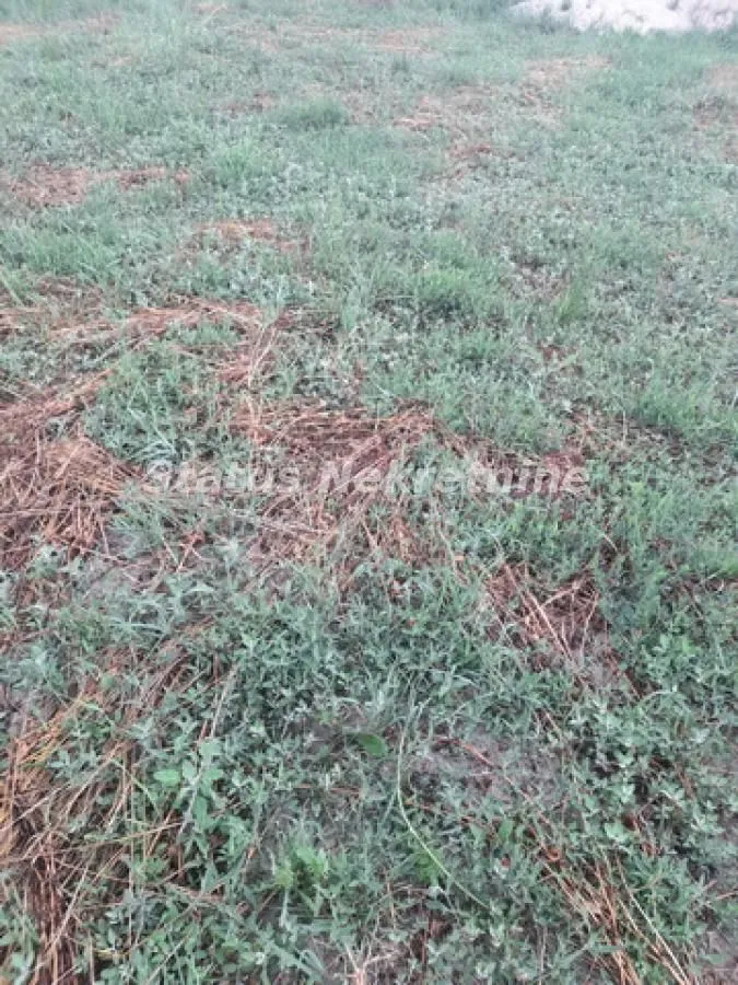 Prodaja, kuća, 160m², Futog, Novi Sad Sve Podlokacije