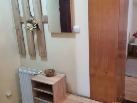 Rent, one bedroom apartment, 40m², Brace Jerković, Voždovac Sve Podlokacije - image 16