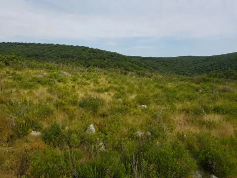 Pogled na prirodno okruženje i šumovite brežuljke u blizini nekretnine. - image 3