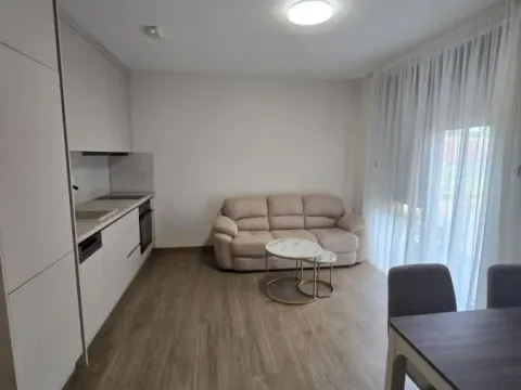 Izdavanje, jednosoban stan, 30m², Sremska Kamenica, Petrovaradin - image 3