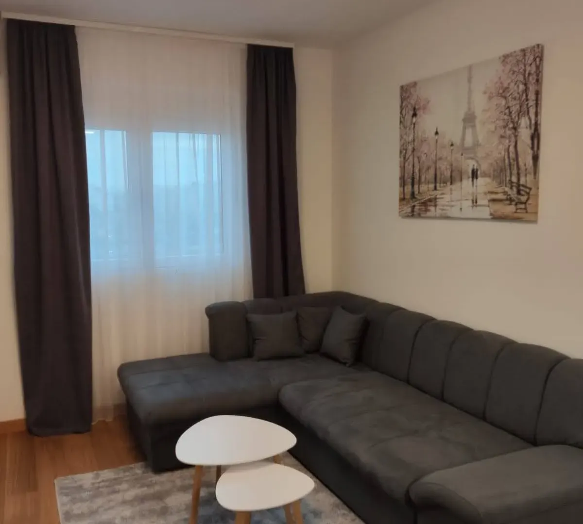 Izdavanje, jednosoban stan, 45m², New City, Podgorica