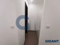 Prodaja, jednosoban stan, 36m², Kneževac, Beograd - image 6