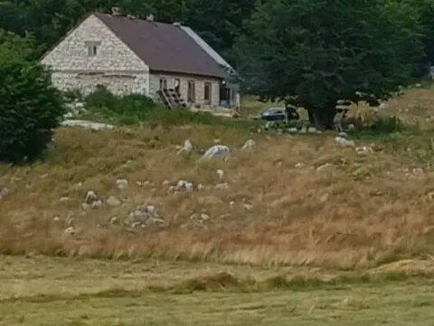 Prodaja, kuća, 112m², Krnovo, Nikšić - image 4