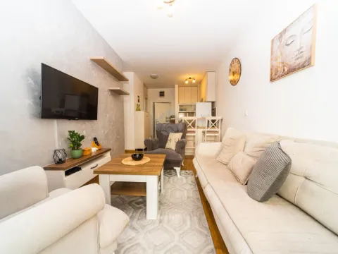 Rent, one bedroom apartment, 40m², Tuški Put, Podgorica - image 2