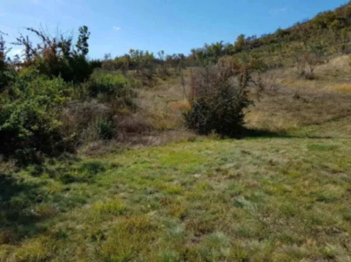 Prodaja, plac, 529000m², Grahovac, Nikšić