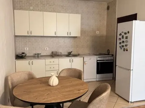Rent, one bedroom apartment, 54m², Vezirov Most, Podgorica - image 3