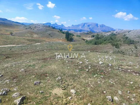 Prodaja, plac, 65000m², Žabljak, Crna Gora - image 2
