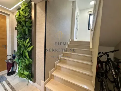 Stan in Dalmatinska ulica