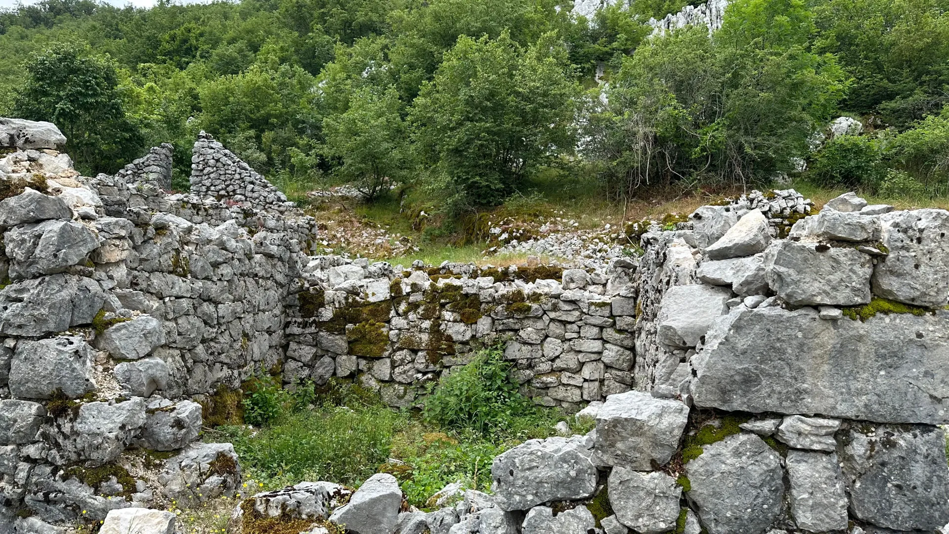 Prodaja, plac, 12000m², Grahovo, Nikšić