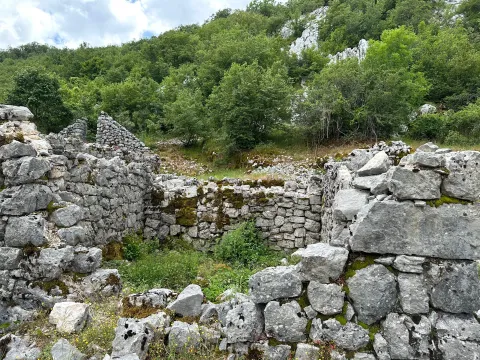 Prodaja, plac, 12000m², Grahovo, Nikšić - image 5