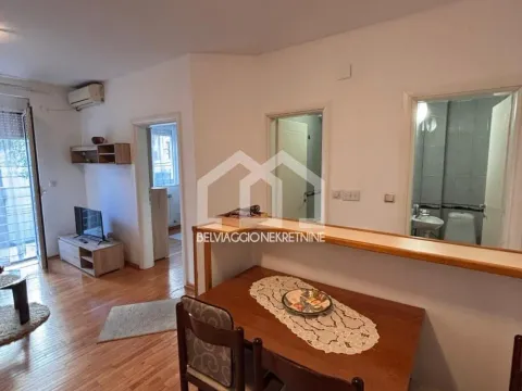 Izdavanje, dvosoban stan, 45m², Vračar Hram, Vračar Sve Podlokacije - image 4