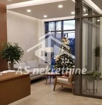 Izdavanje, dvosoban stan, 55m², Savski Venac, Beograd - image 15