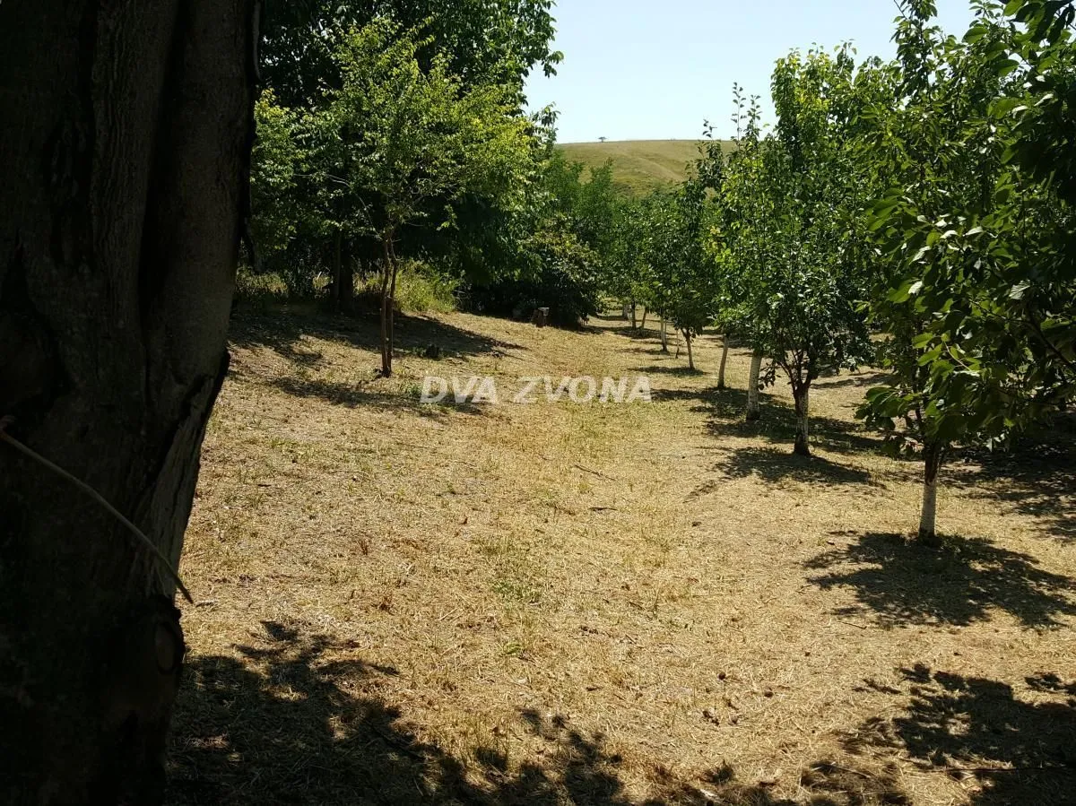 Prodaja, kuća, 65m², Čortanovci, Inđija