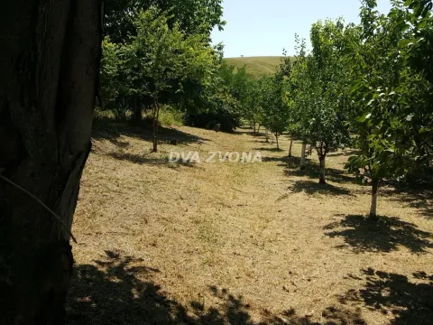 Prodaja, kuća, 65m², Čortanovci, Inđija - image 3