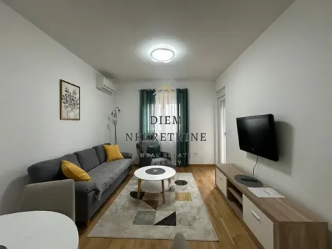 Rent, one bedroom apartment, 45m², Stari Aerodrom, Podgorica - image 11