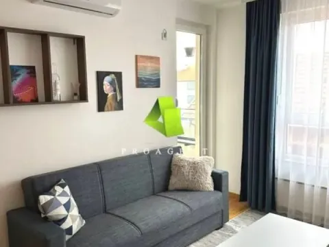 Rent, one bedroom apartment, 47m², Pantelej, Niš - image 3