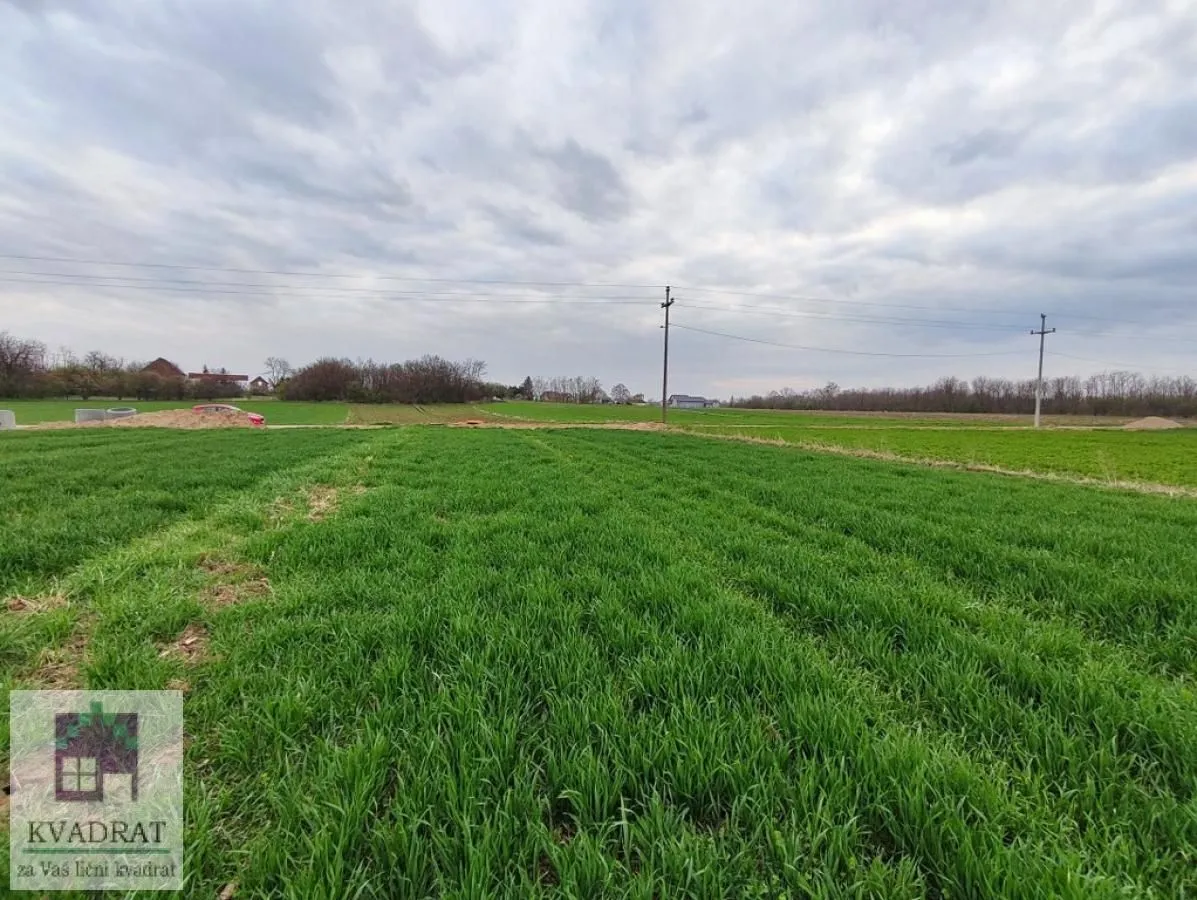 Prodaja, plac, 4000m², Zvečka, Obrenovac