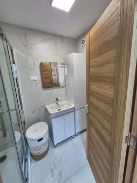 Moderne kupatilo sa tuš kabinom, umivaonikom i bijelim elementima. - image 9