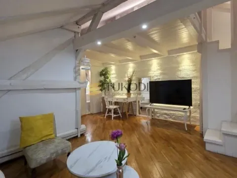 Rent, one bedroom apartment, 45m², Botanička Bašta, Palilula Sve Podlokacije - image 4