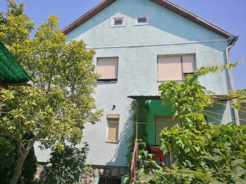 Prodaja, kuća, 240m², Titel, Novi Sad - image 6