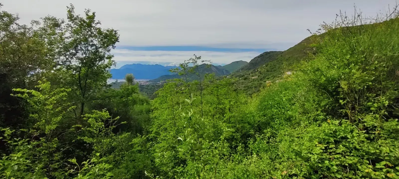 Prodaja, plac, 491m², Kotor, Crna Gora