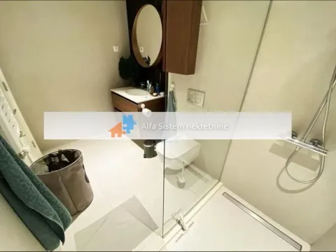 Izdavanje, dvosoban stan, 71m², Savski Venac, Beograd - image 12