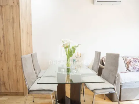 Izdavanje, jednosoban stan, 42m², Centar, Podgorica - image 5