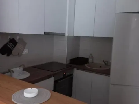 Izdavanje, dvosoban stan, 50m², Jugovićevo, Novi Sad Sve Podlokacije - image 8