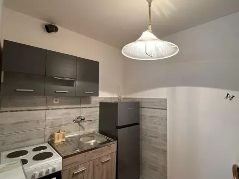 Izdavanje, jednosoban stan, 50m², Duvanište, Niš - image 4