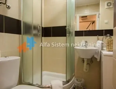 Izdavanje, dvosoban stan, 40m², Vračar Hram, Vračar Sve Podlokacije - image 19