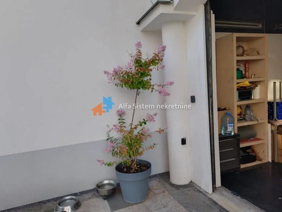 Rent, house, 365m², Uciteljsko Naselje, Zvezdara Sve Podlokacije
