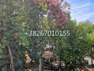 Sale, house, 64m², Utjeha, Bar - image 6