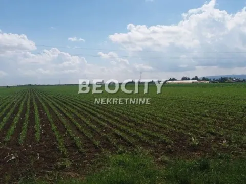 Prodaja, plac, 22m², Futog, Novi Sad Sve Podlokacije - image 2