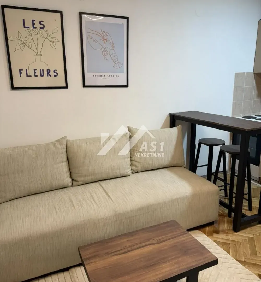Izdavanje, stan, 21m², Grbavica, Novi Sad Sve Podlokacije