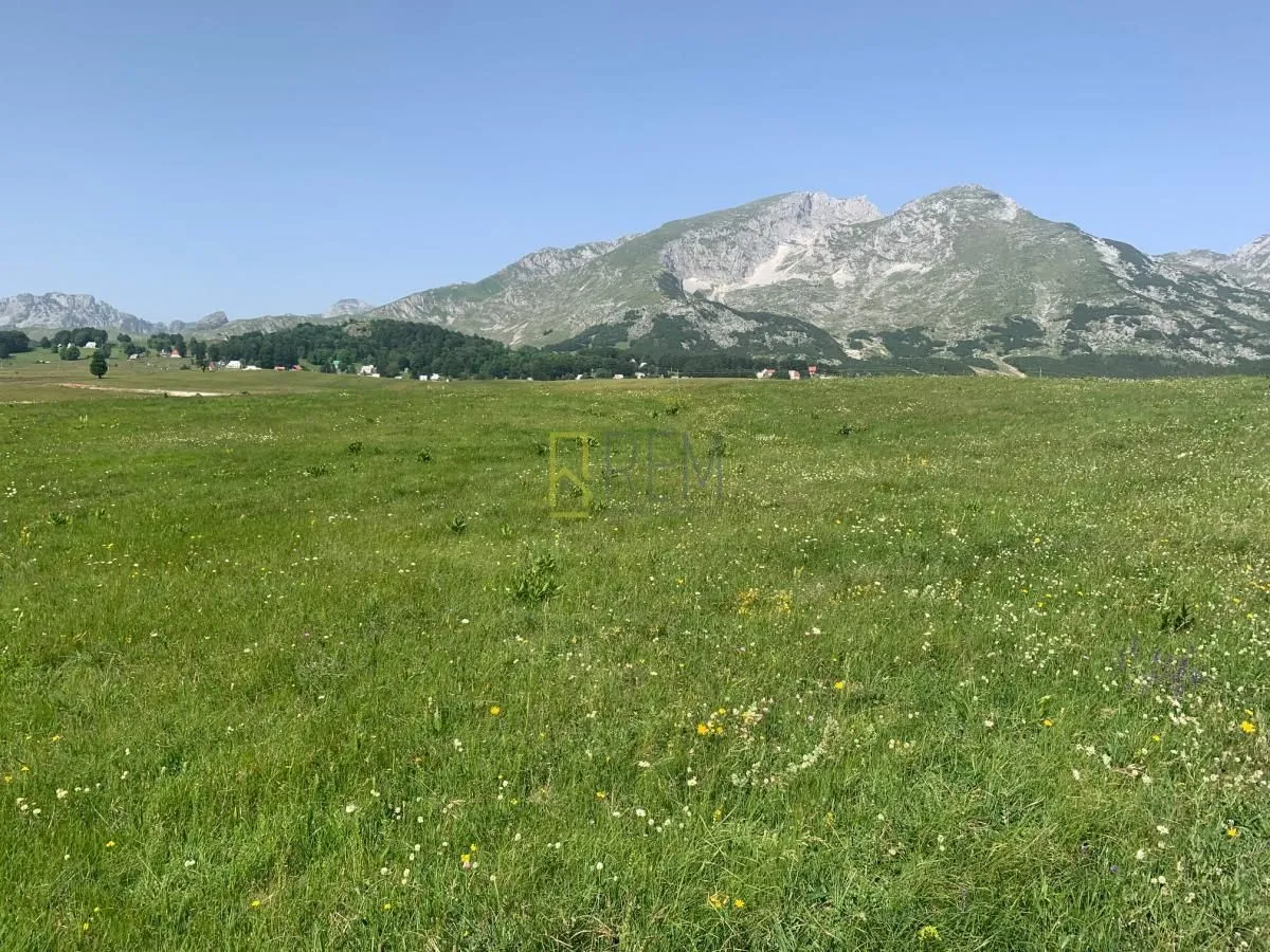 Prodaja, plac, 2900m², Motički gaj, Žabljak