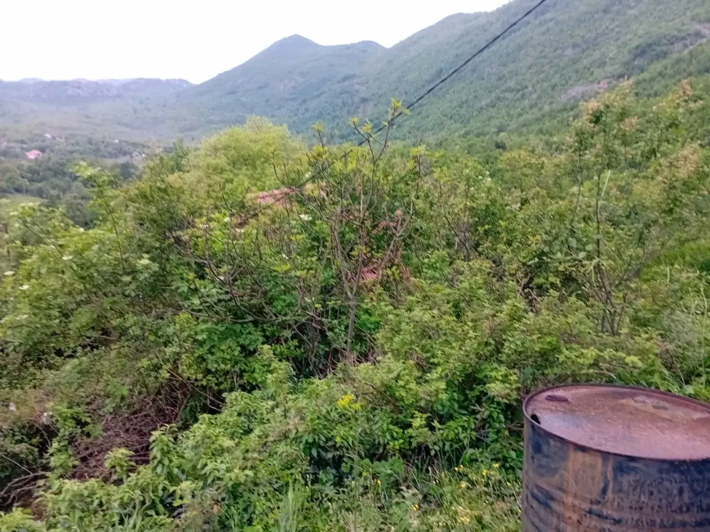 Zeleni plac okružen brdima sa gustom vegetacijom.