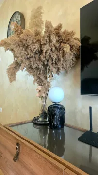 Interior detail of a living room with an ornamental vase of dry grass and a lamp on a chest of drawers. - image 7