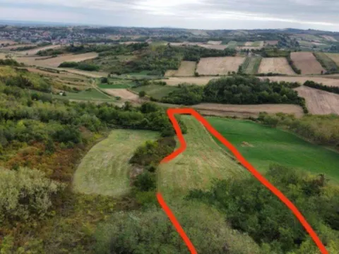 Prodaja, plac, 12000m², Alibegovac, Petrovaradin - image 4