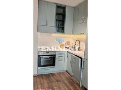 Izdavanje, dvosoban stan, 40m², Stari Grad, Beograd - image 4