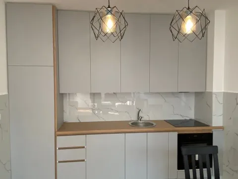 Rent, one bedroom apartment, 48m², Zabjelo, Podgorica - image 3