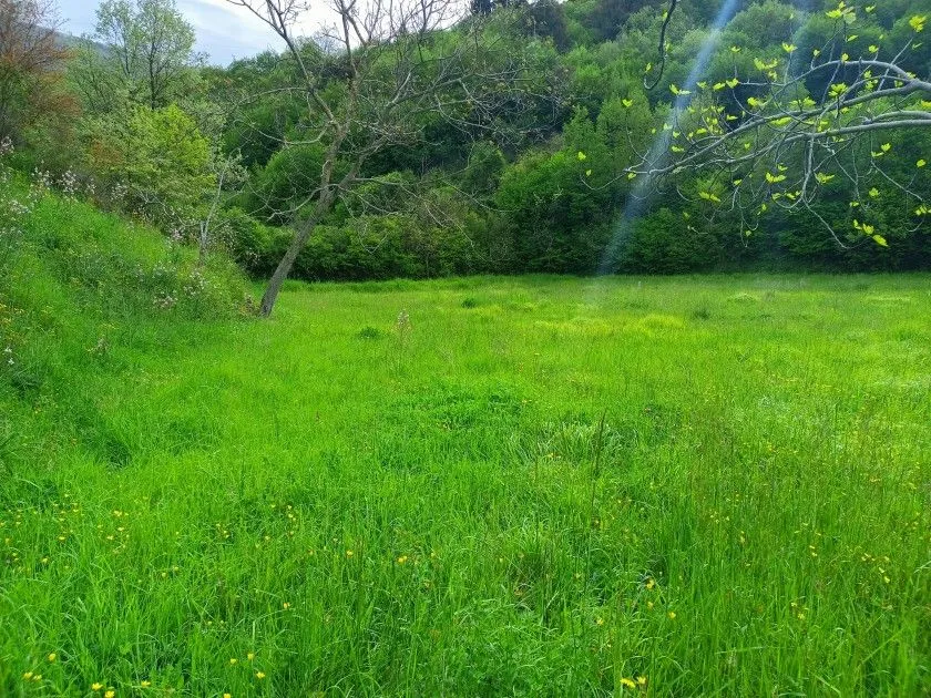 Prodaja, plac, 10172m², Ulcinj, Crna Gora