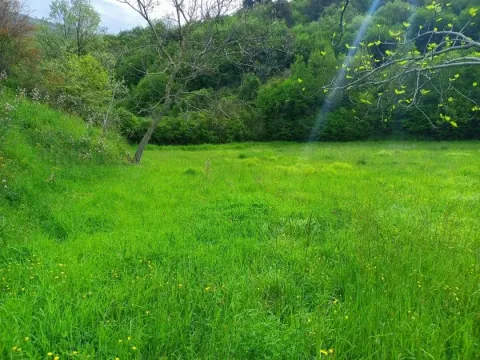 Prodaja, plac, 10172m², Ulcinj, Crna Gora - image 7