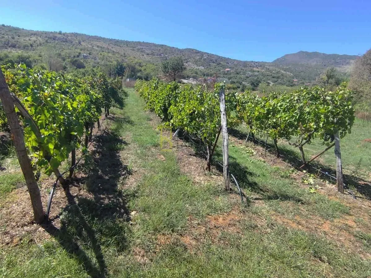 Sale, land lot, 40m², Beri, Podgorica