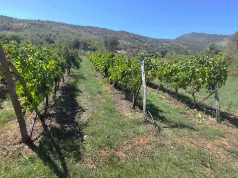 Sale, land lot, 40m², Beri, Podgorica - image 1