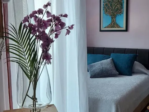 Izdavanje, stan, 36m², Dubovica, Budva - image 10