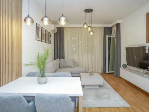 Izdavanje, jednosoban stan, 46m², Stari Aerodrom, Podgorica - image 3