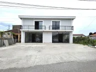 Izdavanje, poslovni prostor, 45m², Masline, Podgorica